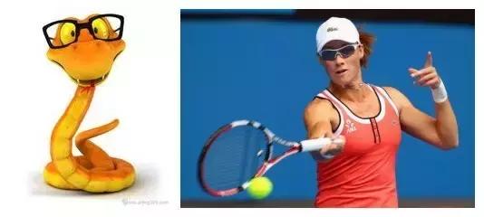 网络十二生肖搞笑,足球运动员十二生肖