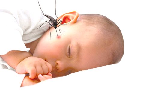 夏天比较常见的虫子叮咬处理方法,昆虫叮咬非小事注意卫生可预防