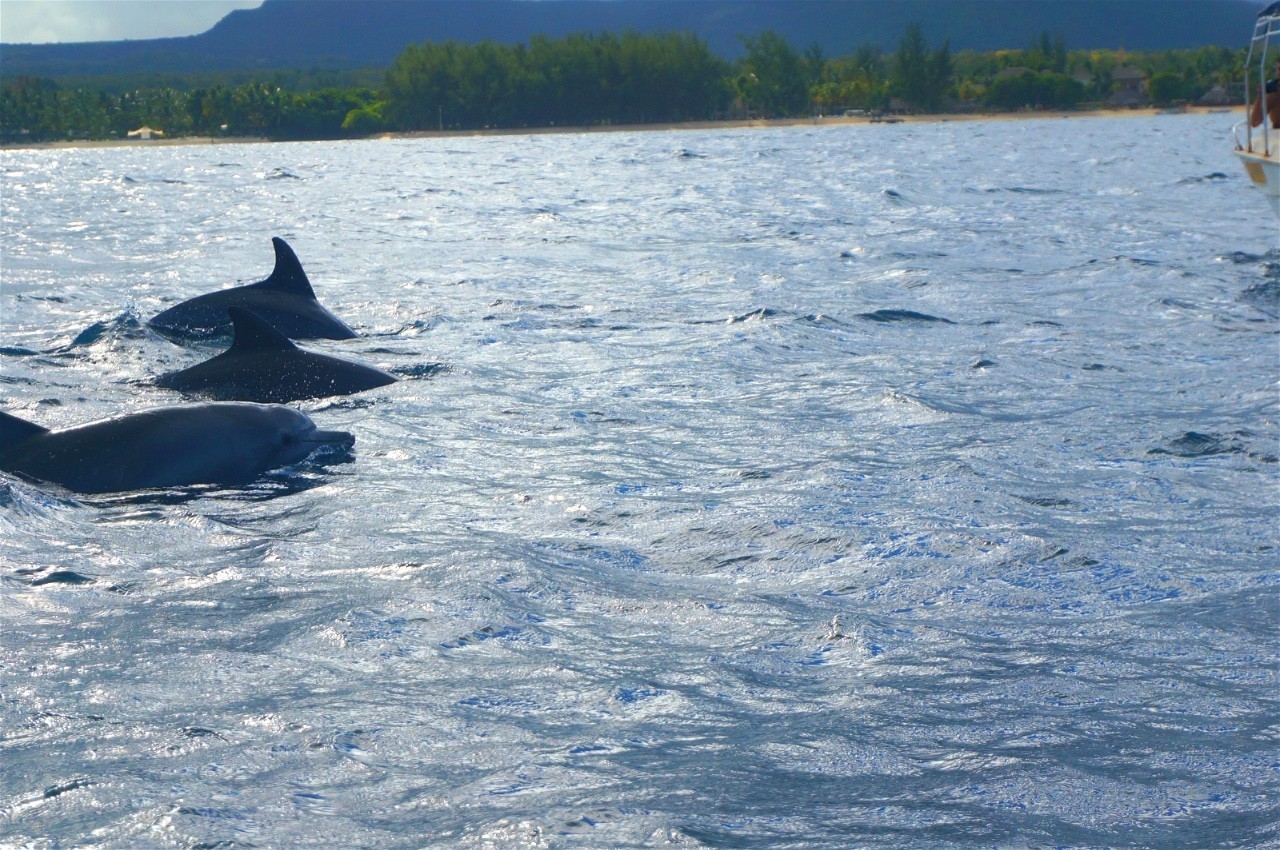 用耳朵旅行的财经主播Nina|全球空气质量最佳的天堂国度毛里求斯