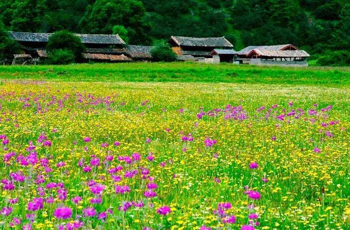 大理丽江5天4晚旅游攻略自驾游,大理丽江5日自驾游详细攻略