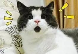 唐山：游泳池里忒乱，居然有浑水摸女孩儿胸的