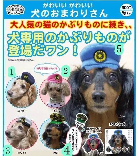 萌物东西推荐,什么萌物好看