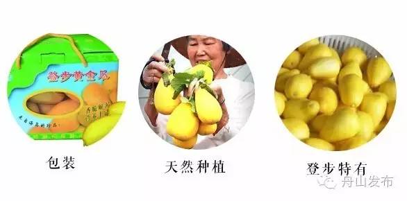 年轻人为什么要去杭州,舟山生活感受