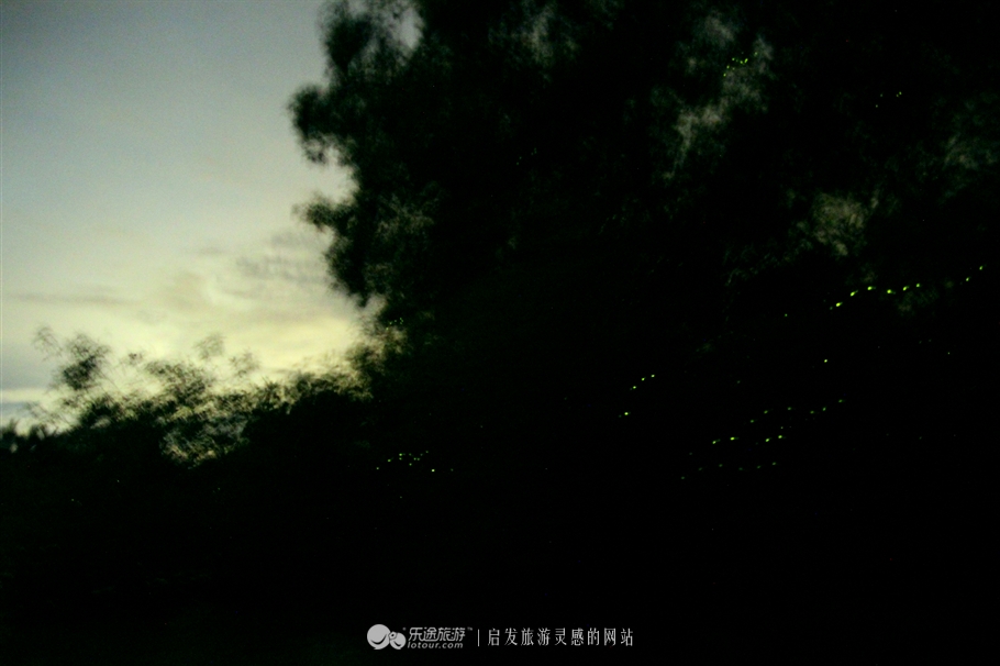 放学别走！雪兰莪喊你去补生物课！