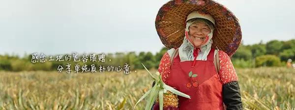 微热山丘凤梨酥台湾多少钱一盒,天津有卖台湾微热山丘的凤梨酥吗