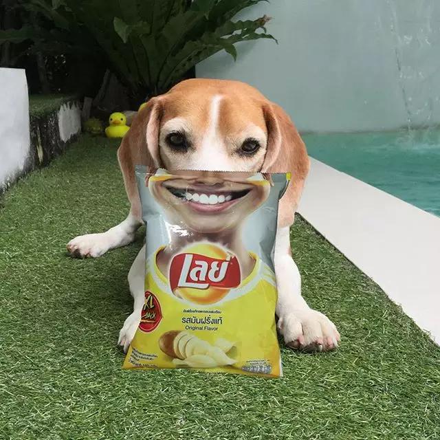 泰国乐事薯片最新视频,泰国乐事薯片和中国乐事