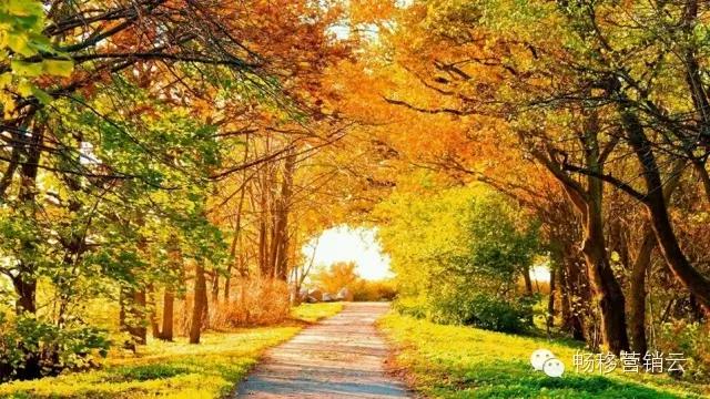 新年愿望的说说,说说你的新年愿望