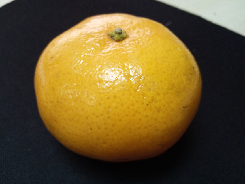 vivox60体验感怎么样,vivox6性能测试