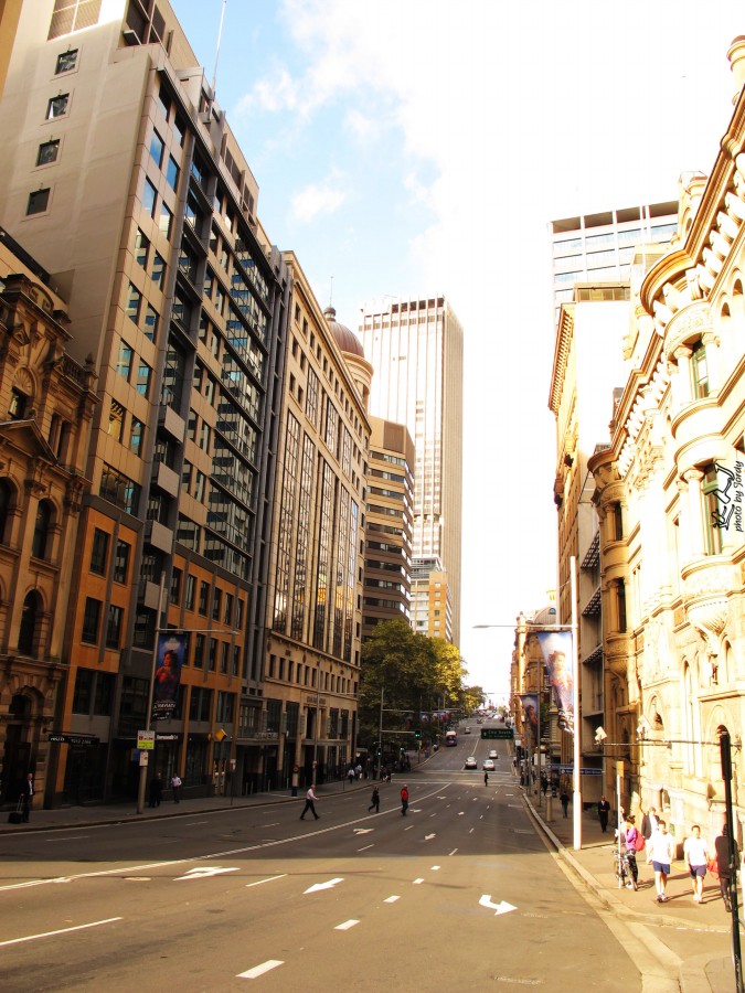 悉尼炎热,悉尼潮湿还是干燥