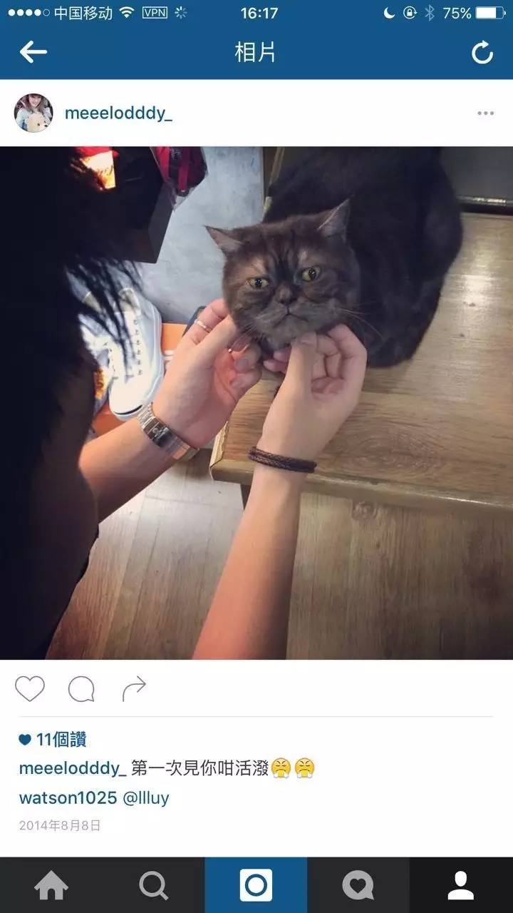 余文乐店铺名字,余文乐鞋子哪里买