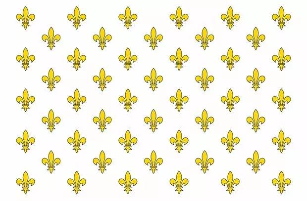 红白蓝三色国旗是哪些,红白蓝法国国旗含义