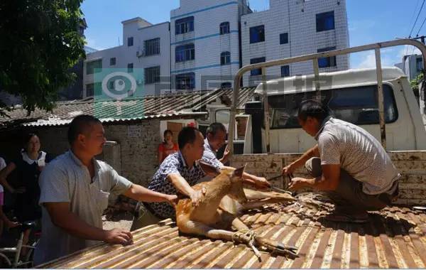 宾利司机捅伤人,宾利车主捅宝马车主后续