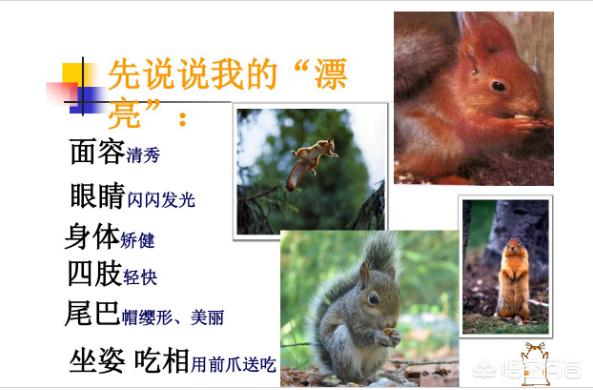 提高五年级作文水平的技巧及训练,小学五年级作文十大技巧