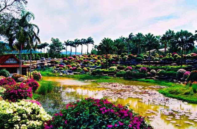 说吃就走的芭提雅南昌出发（最强攻略）亚航年中大促销