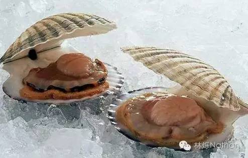 营养密集型食物大全,10个必吃的超级食物清单