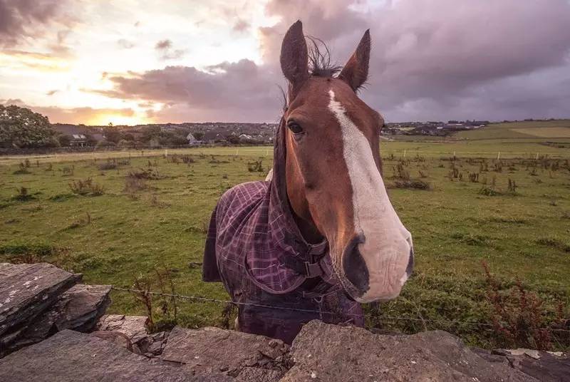 环驾苏格兰，阅读最具故事性的篇章|自驾推荐
