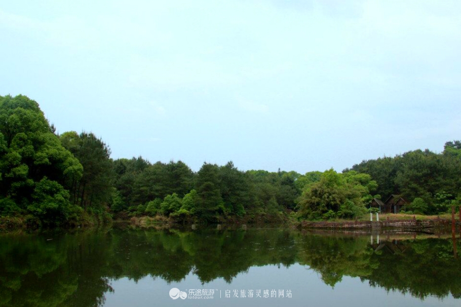 蛇形山镇最新诈骗案,蛇形山镇缅甸诈骗案