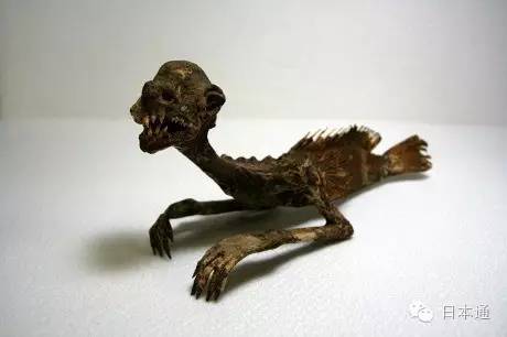 是真是假?日本传说中的河童天狗人鱼的木乃伊