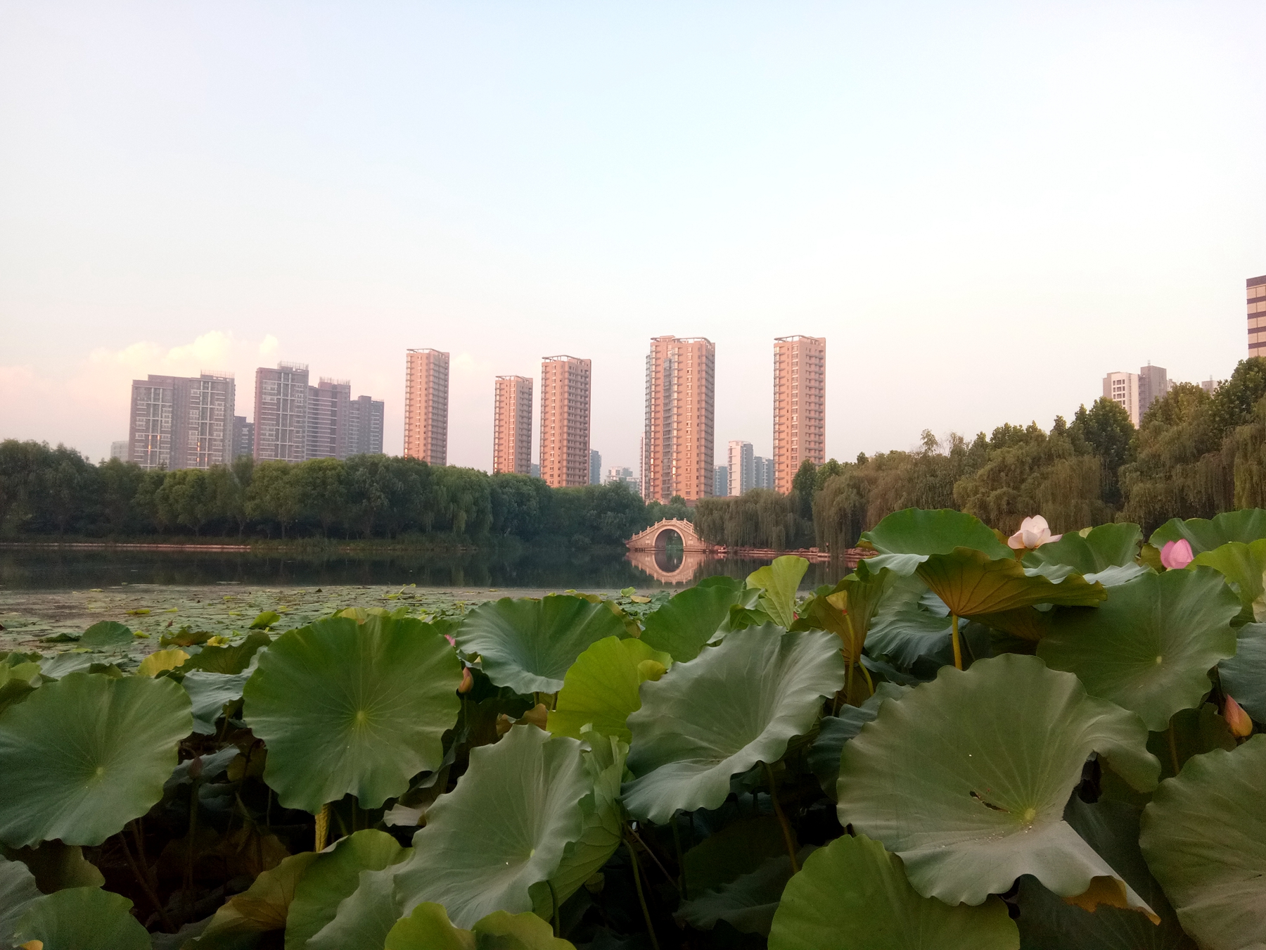 小品牌性价比电动车,酷比max5参数