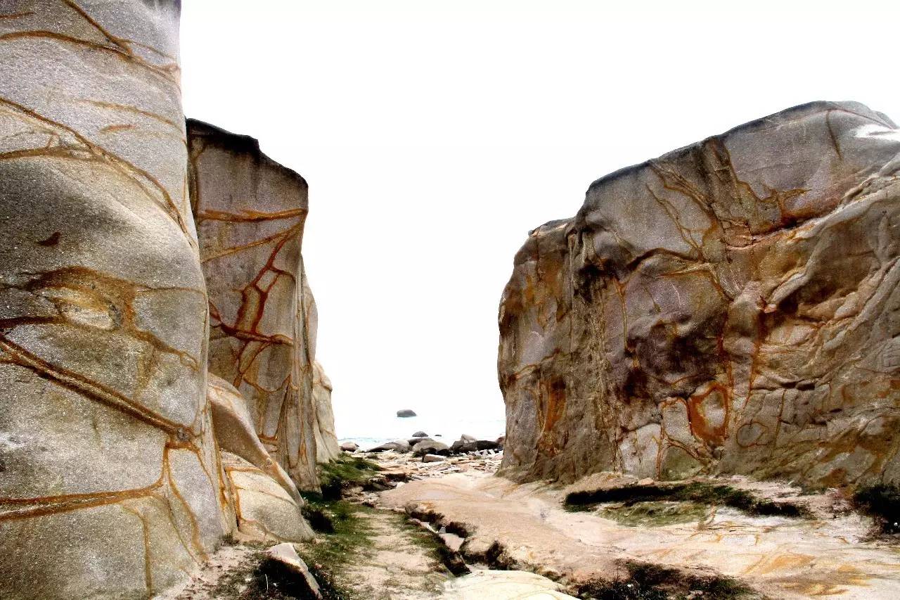 路虎揽胜漳州,揽胜海洋之心