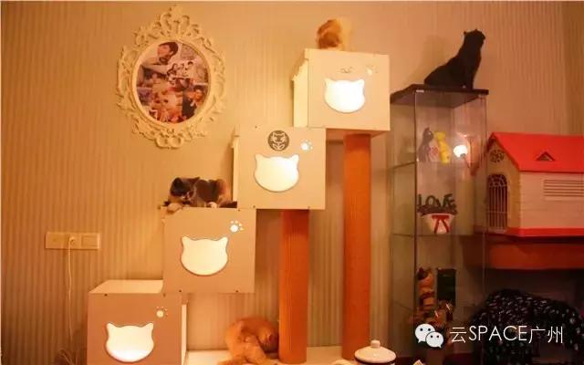 喵星人咖啡厅，治愈你疲惫的心！