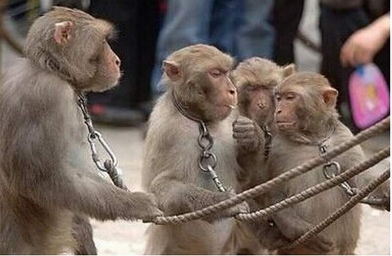 忽悠创业者做值钱的公司，转身只投赚钱的公司，风投耍猴呢？