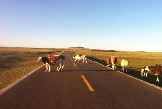 一言不合就干架怎么办,一言不合就怼你怎么办