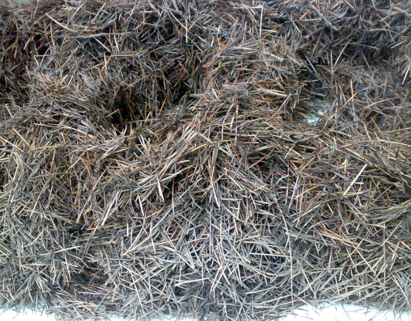 营养土通用型养花种菜土,砖土和营养土养花哪个好