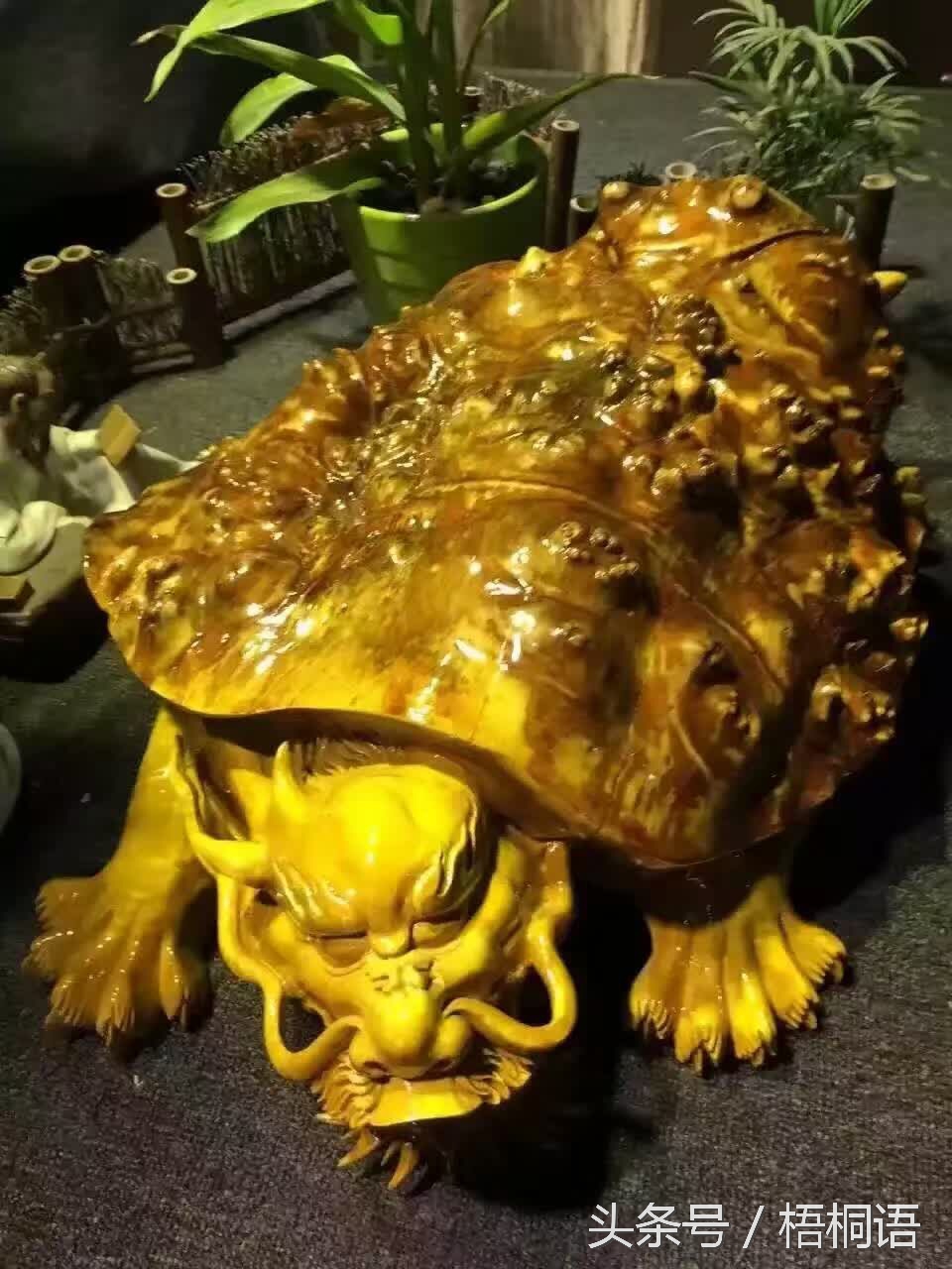 右眼皮一直跳科学依据,右眼皮连续跳两年了