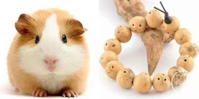 菩提有什么本事,菩提招财辟邪