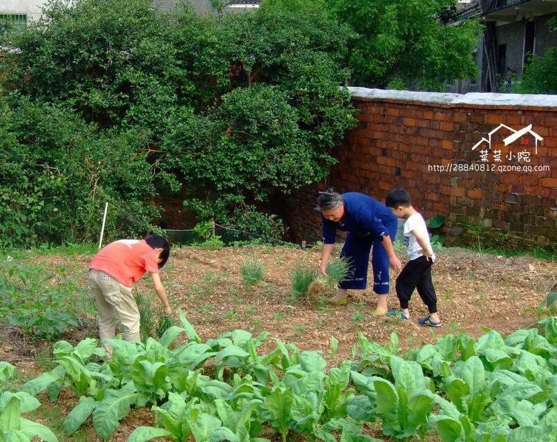 哪里适合隐居过田园生活,唯美的田园隐居生活