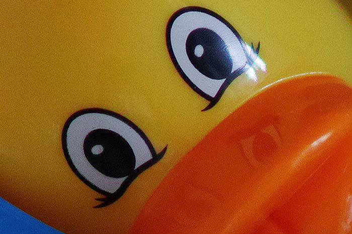 适马sdquattroh值不值得入手,适马sdquattroh配镜头