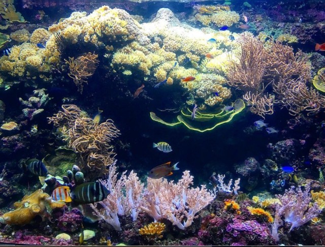 正确打开度假模式,如何开启度假模式