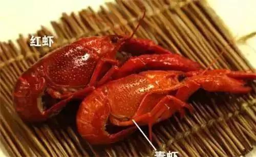 赵丽颖小龙虾夹肉,赵丽颖采访心心念念小龙虾