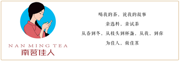 易武知识,知识茶叶