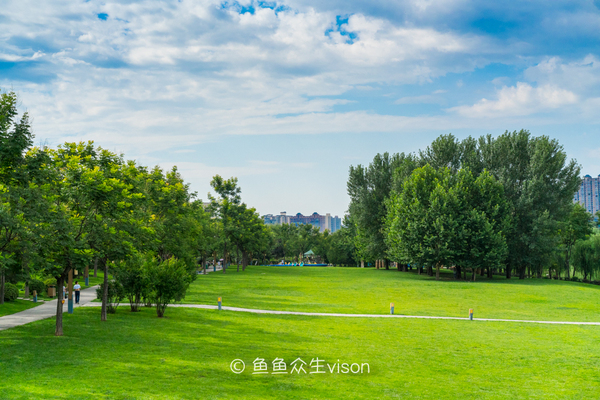 来到十三朝古都,来到十三朝古都西安