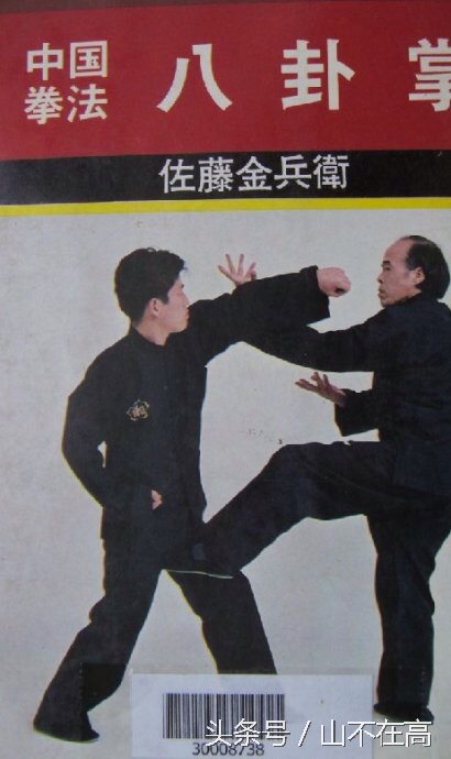 武术实战最毒辣打法,武术实战阴毒打法