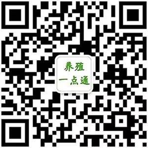 鱼鳖混养省地又省力,外塘龟鳖混养的正确方法