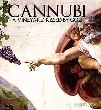 并不是每瓶Barolo，都可以带上“酒王”的金冠