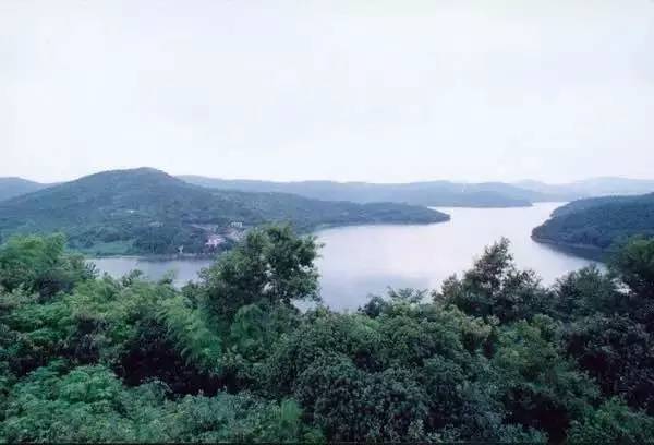 宁波最不好的区是哪个,宁波最落后的三个区