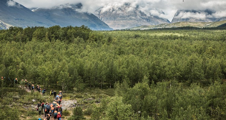 爽酷一夏，穿越北极