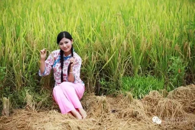 高州一天一夜游哪里好玩,高州最值得去的地方