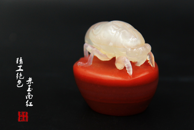 蝉设计灵感 (镂空调色蝉)