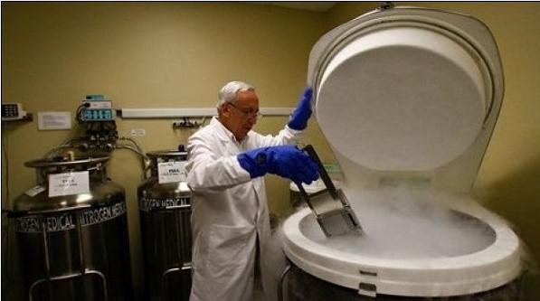 脐带血留还是不留,脐带血存在还是不存