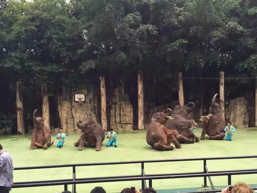 长隆野生动物园攻略亲子游三天,从广州长隆到珠海长隆亲子游攻略