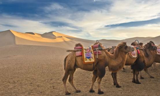 超多美图慎入！开神车，走丝路，这些不可思议的美景就在中国！