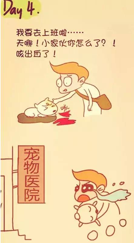 陪伴是最长情的告白你同意吗,陪伴是最长情的告白请勿连赞