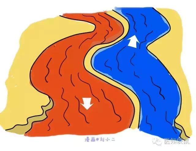 普通b超和肾b超检查范围一样吗,B超三维彩超区别