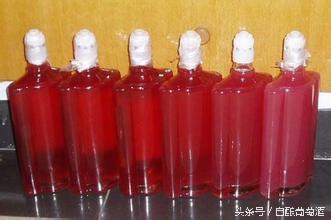 传统防止葡萄酒被杂菌污染的方法,自酿葡萄酒如何防止发酵