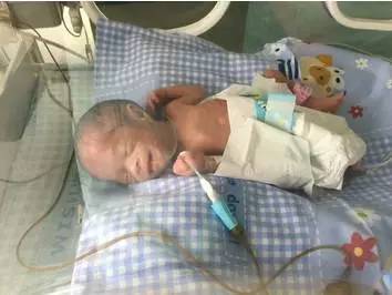 摄影大赛聚焦生活美丽瞬间,摄影大赛作品灵动瞬间